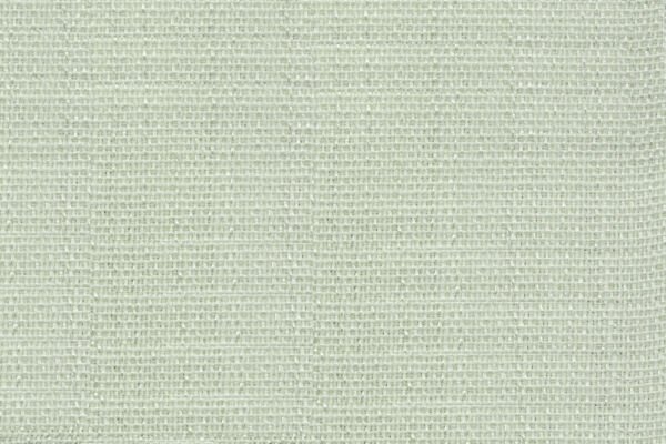PINO 06