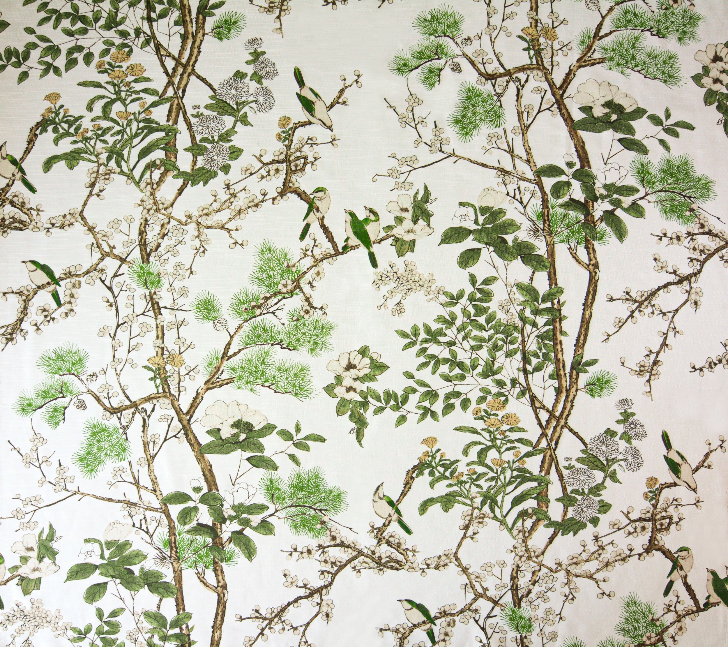 PARADISE PARADISE GREEN