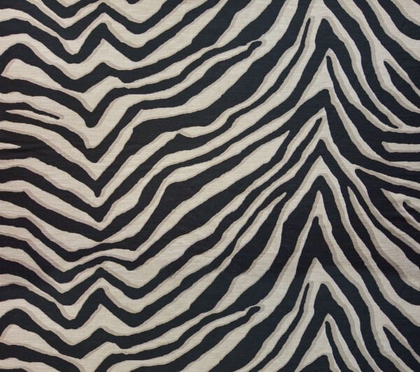 SAFARI