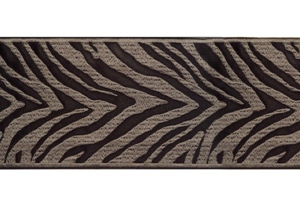 ZEBRA 1