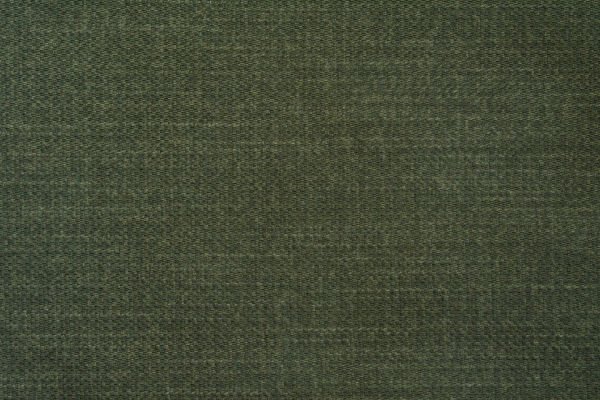 PLAIN GREEN