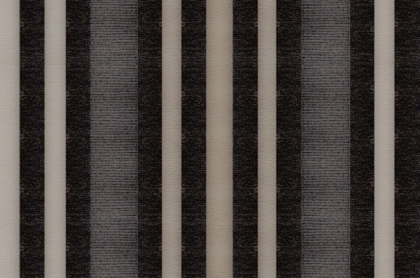 AEDEN 2861