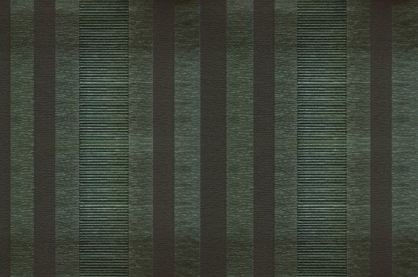 AEDEN 2816