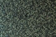 Focus 3065