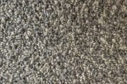 Focus 6061