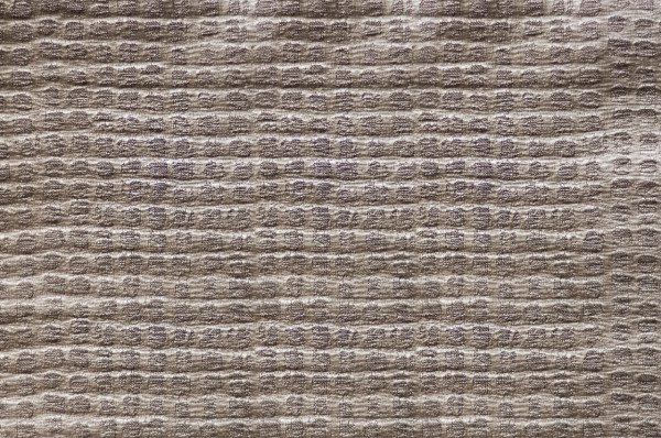 VENUS 2853