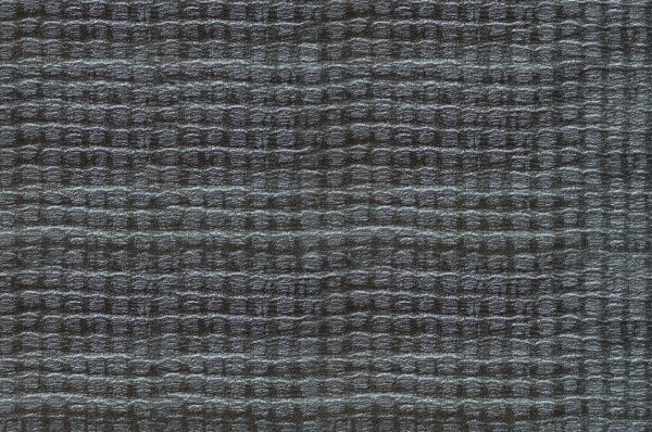 VENUS 2816