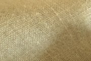 COCO 04