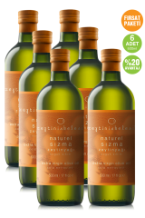 FIRSAT PAKETİ (500ml x 6 Adet)