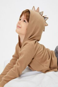 Koton Erkek Bebek Basic Kapşonlu Sweatshirt uzun Kollu Pamuklu