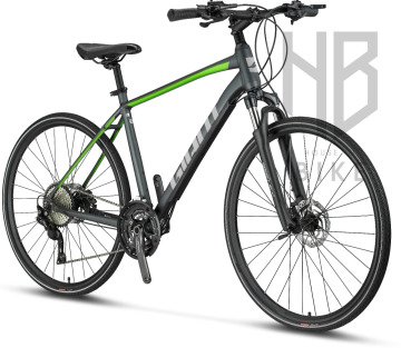 GIANT ROAM 2 DISC TURKEY LTD M - Kırmızı