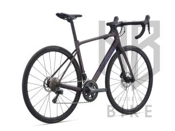 GIANT CONTEND SL 2 DISC ROSEWOO