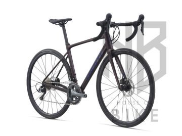 Giant sl 2 hotsell