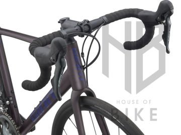 GIANT CONTEND SL 2 DISC ROSEWOO
