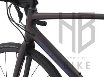 GIANT CONTEND SL 2 DISC ROSEWOO