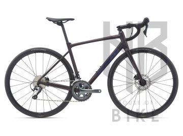 GIANT CONTEND SL 2 DISC ROSEWOO