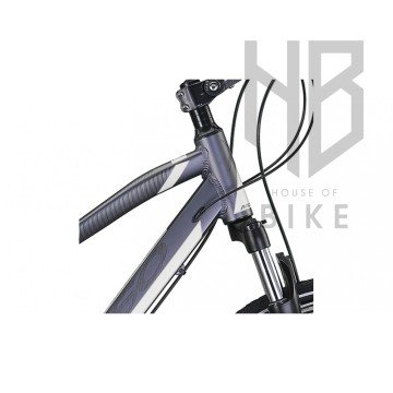 Mosso Legarda 2121 LSM V