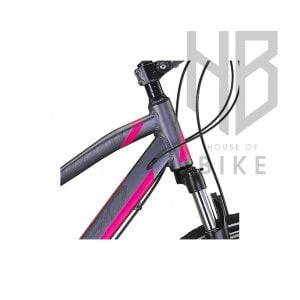 Mosso Legarda 2321 LSM V 46 - Antrasit/Pembe