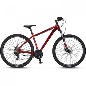 Mosso 29 Wildfire H.Disk Fren - 21 Vites MTB