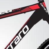 Carraro Speed 240 24'' 21-V VB