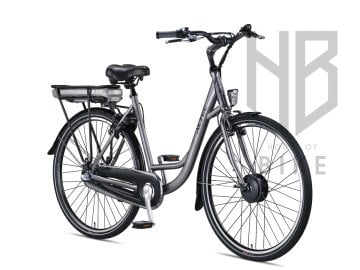 Altec Sapphire E-Bike 53cm Nexus 3V Gri