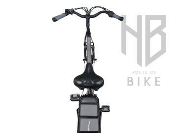 Altec Sapphire E-Bike 53cm Nexus 3V Gri