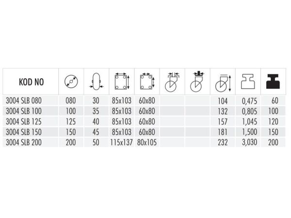 3004 SLB 200  Sabit Saç Jantlı Teker