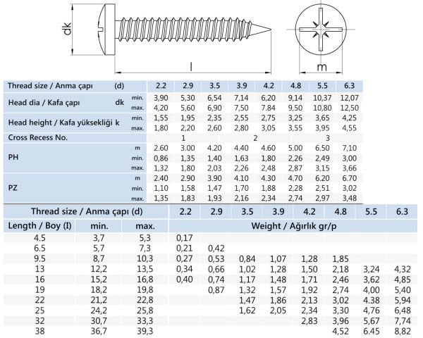 2.9x22 mm YSB Saç Vidası DIN 7981