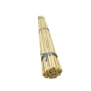 Fidan Destek Çubuğu kamış 80-90cm 25 adet