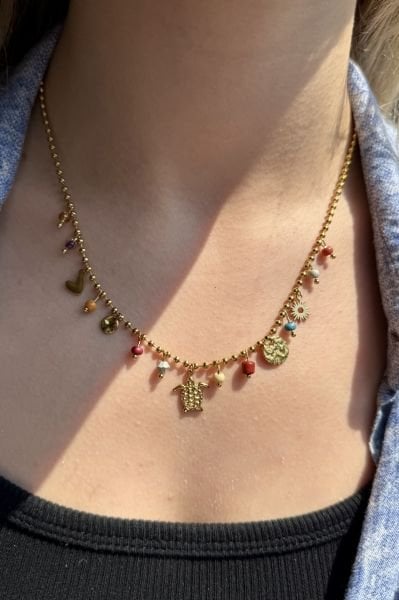 Sıra Charmlı Topçuk Zincir Çelik Kolye Kaplumbağa