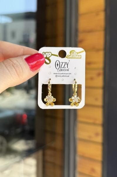 VIP taş Sallantılı Sıra Taşlı Halka Küpe 14K