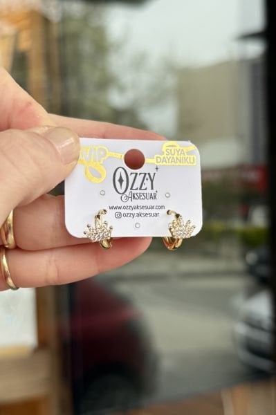 VIP Taşlı Taç Model Halka Küpe 14K