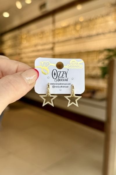 VIP Gömme Taşlı Yıldız Sallantılı Yarım Halka Küpe 14K