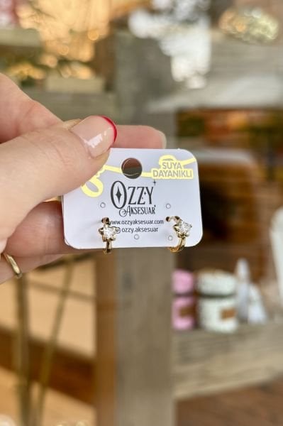 VIP Kalp Taşlı Yıldız Model Halka Küpe 14K