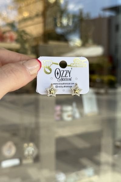 VIP Gömme Taş Detaylı Yıldız Model Halka Küpe 14K