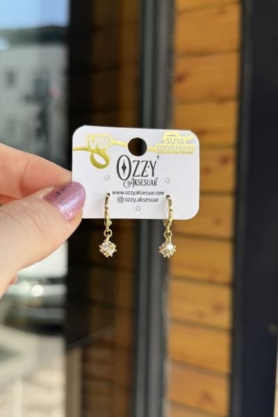 Taşlı Top Sallantılı Halka Küpe 14K