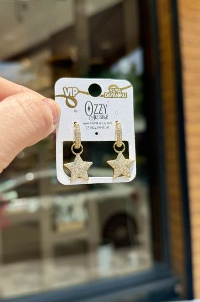 VIP Tamamı Gömme Taşlı Yıldız Sallantılı Halka Küpe 14K