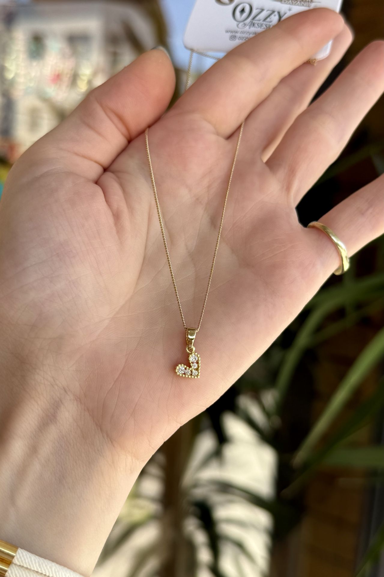 VIP 5 Gömme Taşlı Minimal Kalp Kolye 45 cm 14K