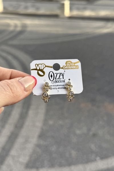 VIP Yuvarlak Taşlı Petek Küpe 14K