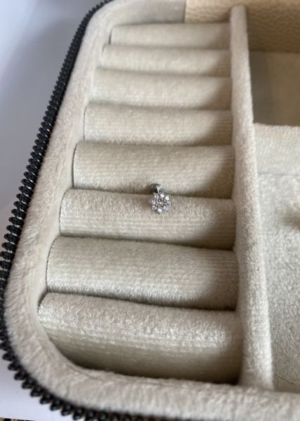 Güz Çiçeği Tragus Piercing 8 mm Gümüş Renk