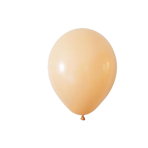 Pastel Somon Balon 12 inc 10 lu