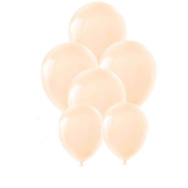 Makaron Somon Balon 10 Adet