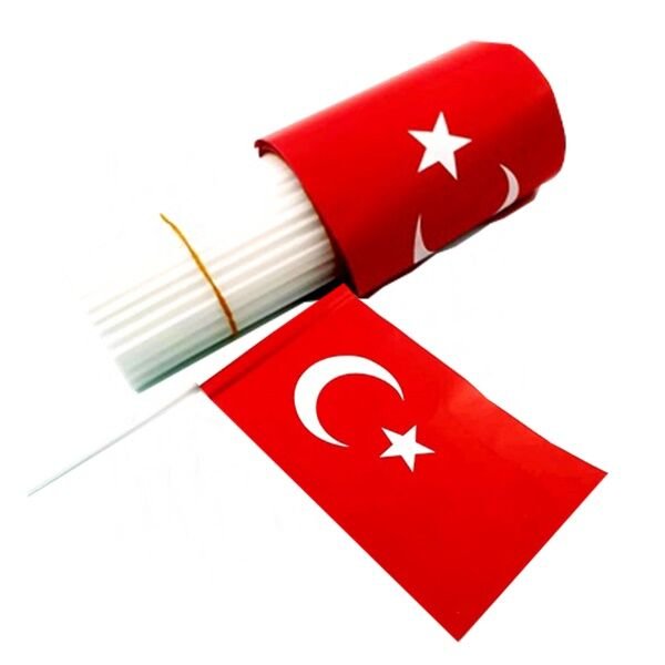 Büyük Çıtalı Türk Bayrağı