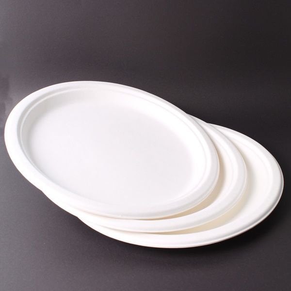 Nature Ekolojik Karton Tabak 26 cm 10 Adet