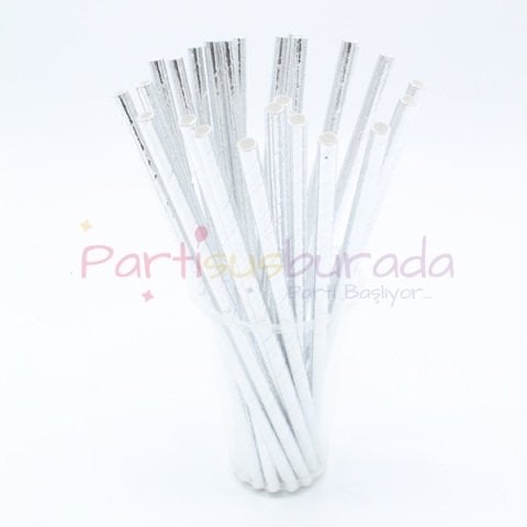 Gümüş Kağıt Pipet 25 Adet
