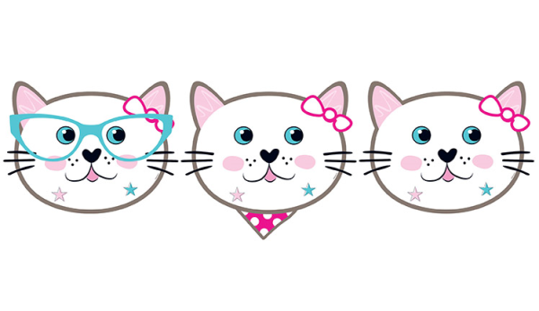 Miss Cat Maske 6 Adet