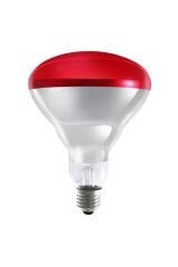 Ledvance  250W E27 İnfrared Ampul