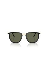 Ray-Ban RB 4451 630658 .50 Unisex Güneş Gözlüğü