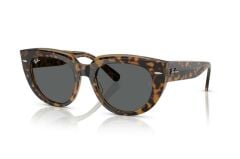 Ray-Ban RB 2286 1292B1 .49 Unisex Güneş Gözlüğü