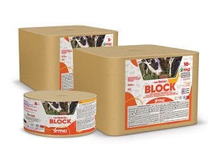 REVA VİTAMİN BLOK 3 KG X 4 ADET